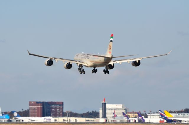 Airbus A340-500 (A6-EHA) - 2012/1/7