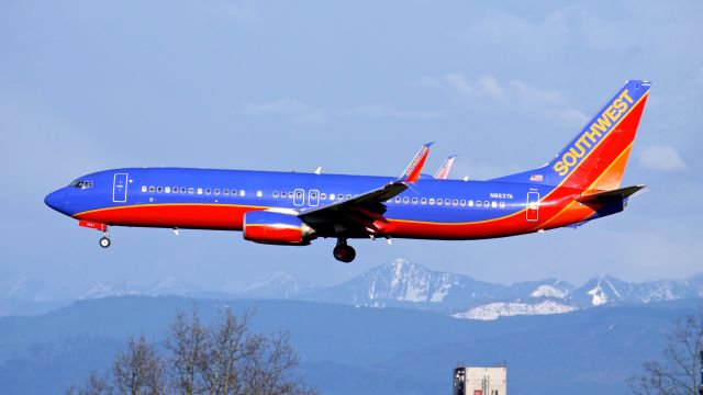 Boeing 737-800 (N8637A) - SWA2308 from PHX on final to SEA Rwy 34L on 3.28.19. (B737-8H4(WL) / ln 4974 / cn 42523).