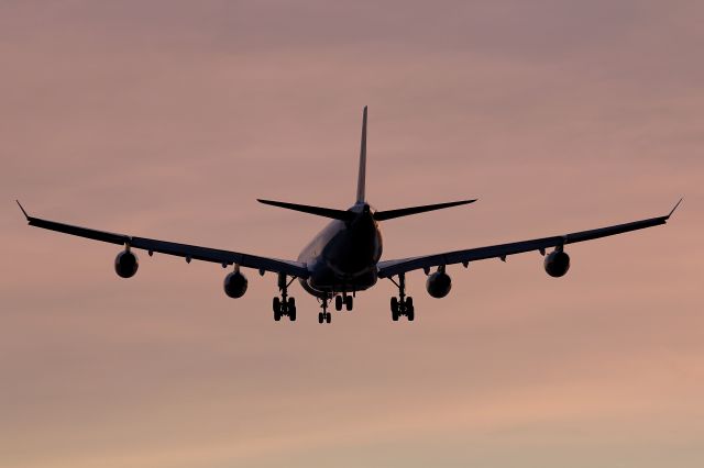 F-GLZN — - Air France A340-300 F-GLZN 22L final