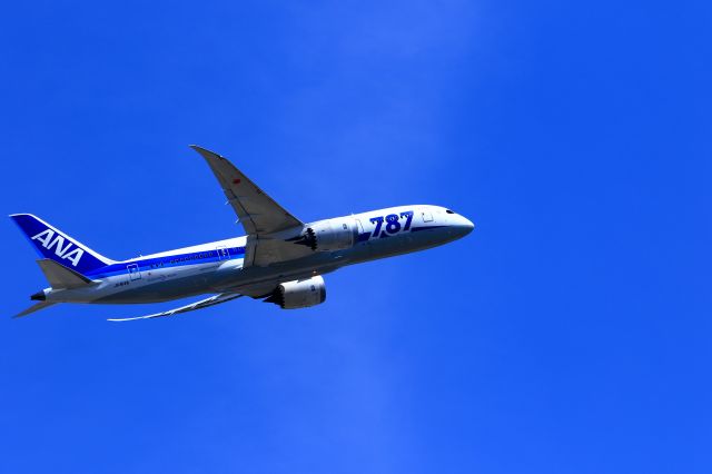 Boeing 787-8 (JA814A)