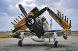 N39147 thumbnail