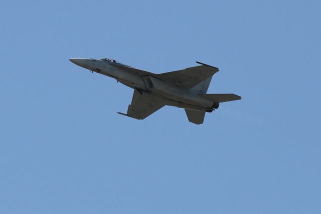 McDonnell Douglas FA-18 Hornet —