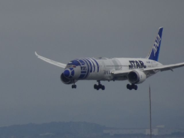 Boeing 787-8 (JA873A)