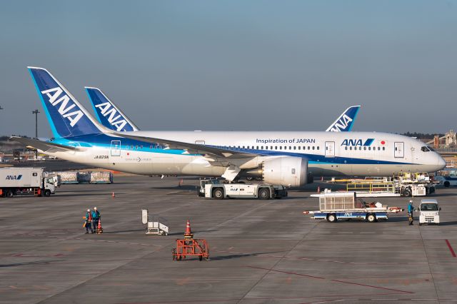 Boeing 787-8 (JA829A) - 7th January, 2017
