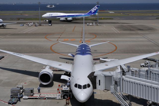 Boeing 787-8 (JA802A) - 2012/5/27