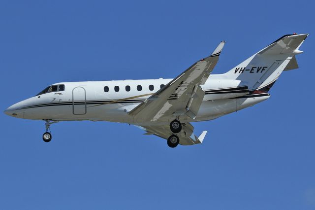 Hawker 800 (VH-EVF)