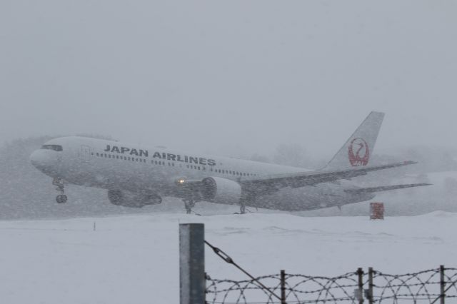 BOEING 767-300 (JA8988) - 31 January 2016:HKD-HND.