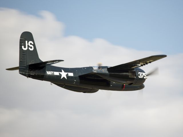 Grumman G-51 Tigercat (N379AK) - Oshkosh 2013!