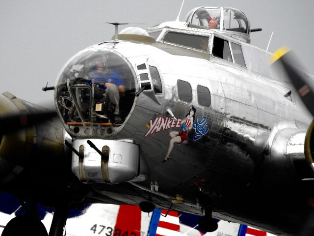 Boeing B-17 Flying Fortress (N3193G)