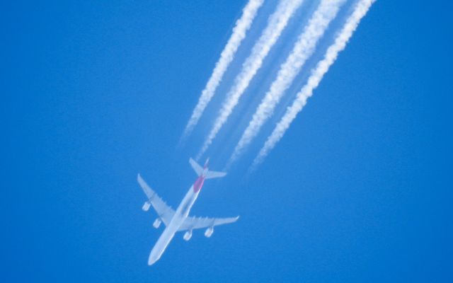 Airbus A340-600 (EC-LFS)