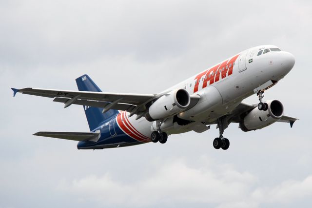 Airbus A319 (PT-TMD) - A319 in special Colors TAM - VINTAGE