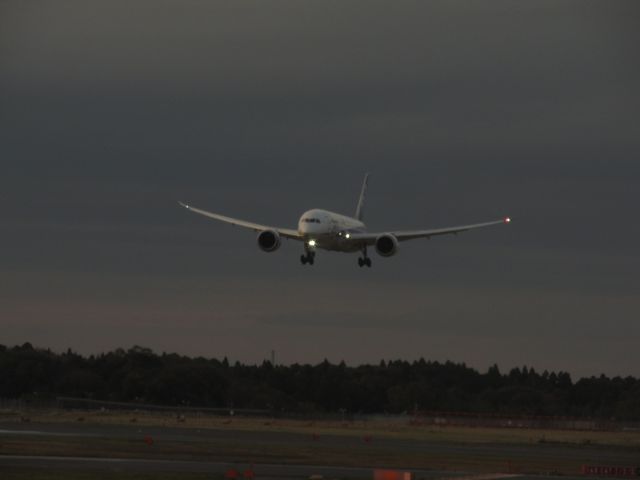 Boeing 787-8 — - Watching wings