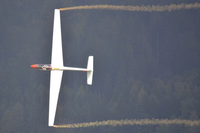 Unknown/Generic Glider (OE5554)