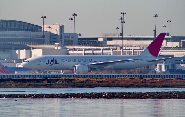 Boeing 777 (JA710J)