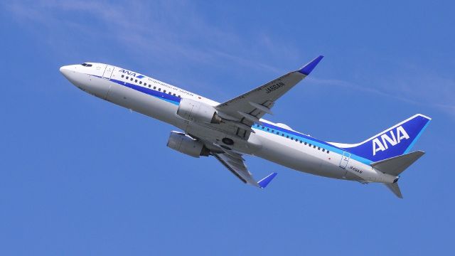 Boeing 737-800 (JA66AN)