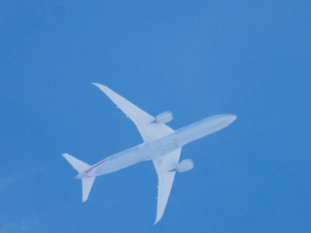 Boeing 787-9 Dreamliner (N825AA) - AAL2412br /08/30/21