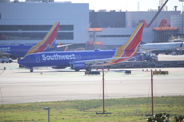 Boeing 737-800 (N8319F)