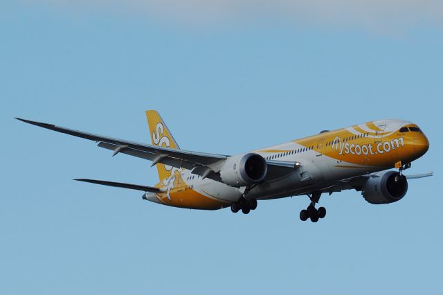 9V-OJE — - Boeing 787-9 cn 37116 Ln 316. Scoot 9V-OJE Maju-lah final rwy 21 YPPH 11 September 2021