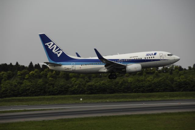 Boeing 737-700 (JA08AN) - Final Approach to NRT Airport R/W16L on 2012/05/26 ANA c/s