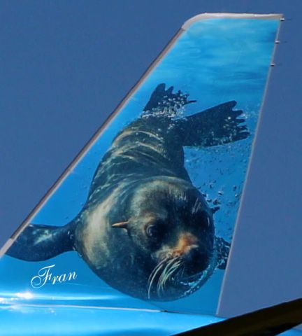 Airbus A320neo (N341FR) - "Fran" the Sea Lion checking out the view from the tail of the Frontier Airbus in the Spring of 2021.