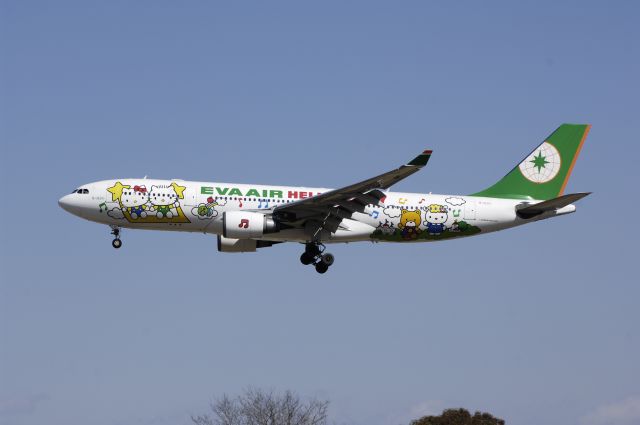 Airbus A330-200 (B-16311) - Final Approach to Narita Intl Airport Rwy34L on 2013/02/21 "Hello Kitty c/s"