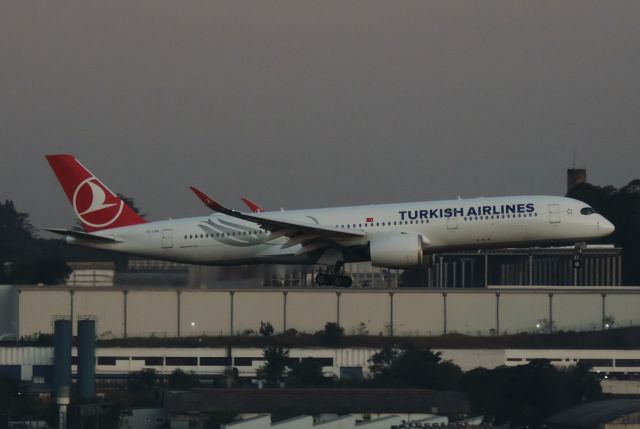 Airbus A350-900 (TC-LGD)