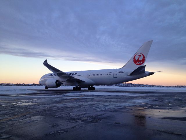 Boeing 787-8 (JA823J) - The setting winter sun 