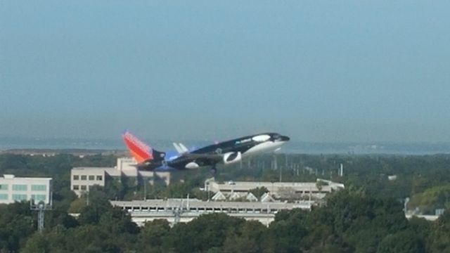 Robinson R-22 (N7155W) - Shamu
