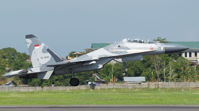 Sukhoi Su-27 Flanker (TSC3010)