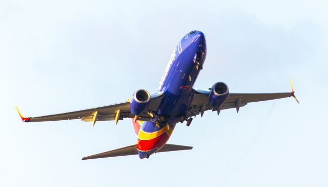 Boeing 737-700 (N8512U)