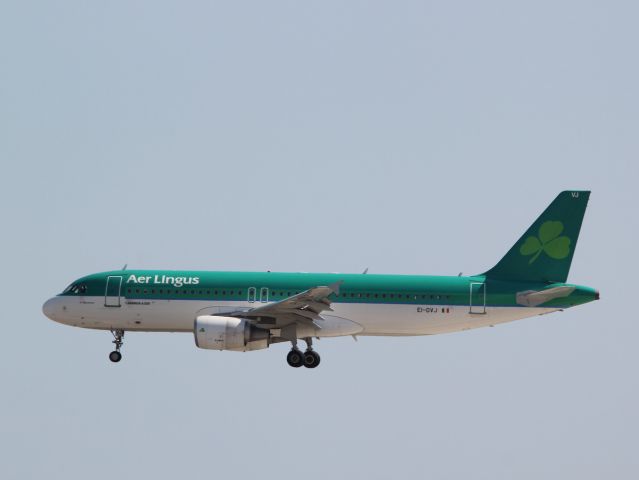 Airbus A320 (EI-DVJ)