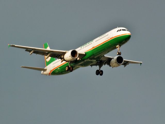 Airbus A321 (B-16202)