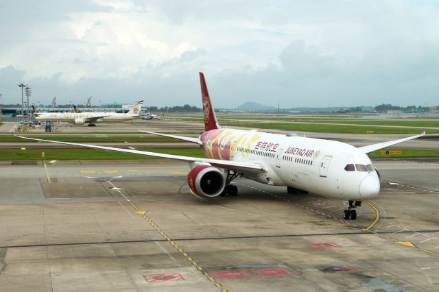 Boeing 787-9 Dreamliner (B-20D1) - "Colourful Petals" livery