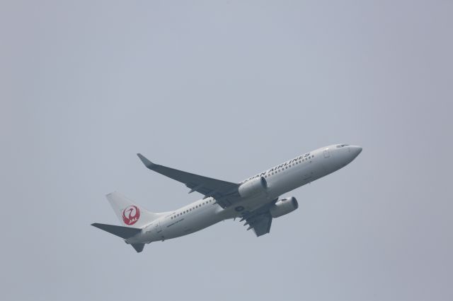 Boeing 737-800 (JA315J)