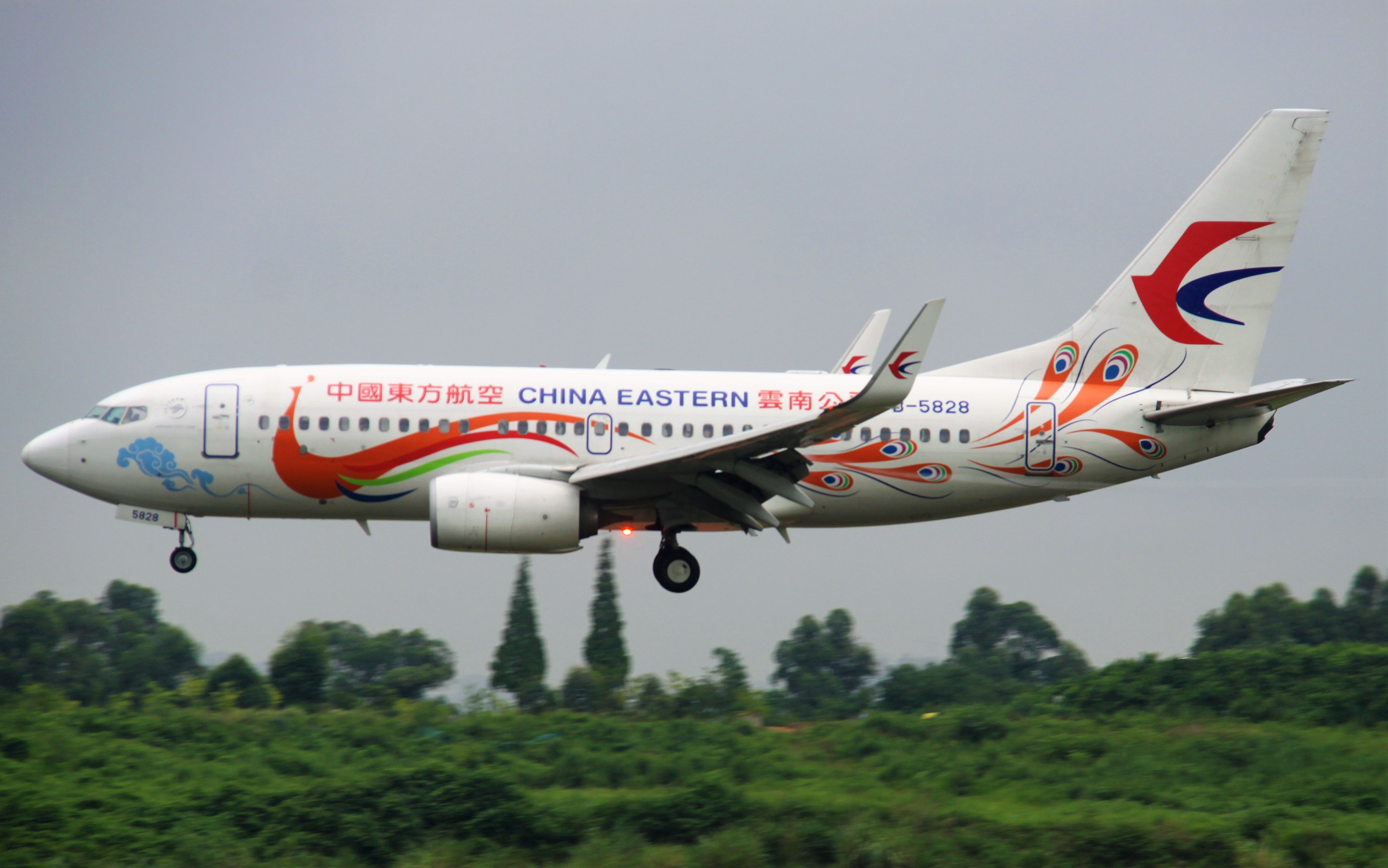 Boeing 737-700 (B-5828) - Phoenix livery.br /TIP:Select full-size and wait for a while(about 15s or shorter) for better view.