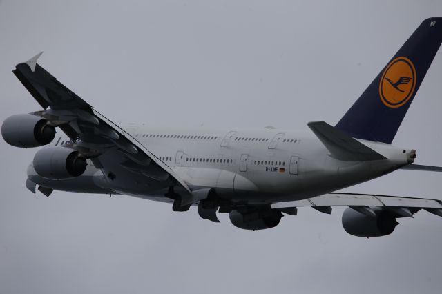 Airbus A380-800 (D-AIMF)