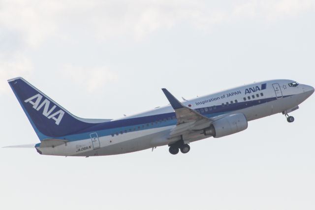 Boeing 737-800 (JA06AN)