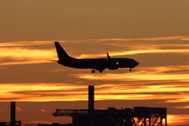 Boeing 737-800 (HP-1849CMP) - Copa B737-800 in ConnectMiles.com livery arrives to Boston Logan Airport with a golden sunset in back on 11/2/21.