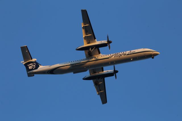 de Havilland Dash 8-400 (N427QX)