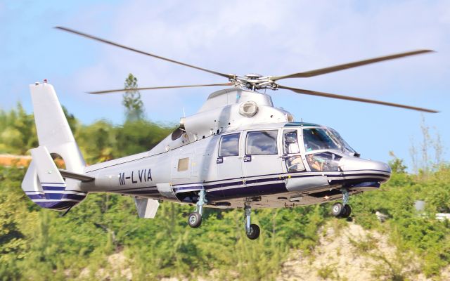 P4-LVA — - M-LVIA with registration P4-LVA