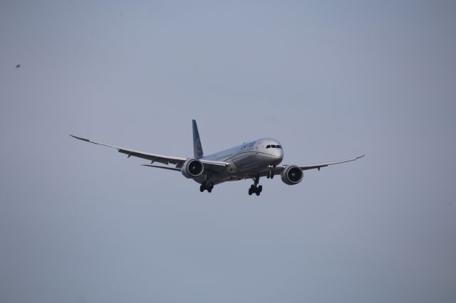 BOEING 787-10 Dreamliner (N12004)