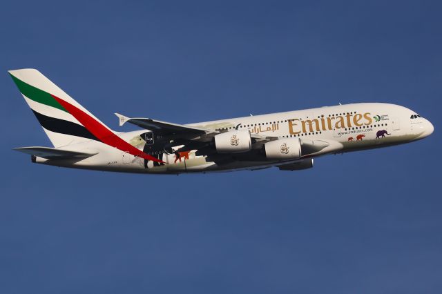 Airbus A380-800 (A6-EER)