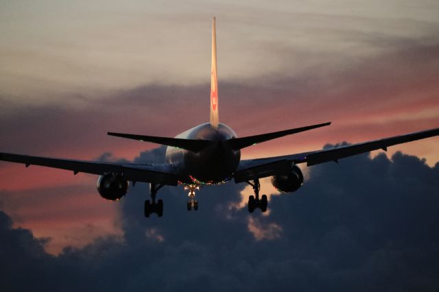 BOEING 767-300 (JA652J) - September 2nd 2019:HND-HKD.