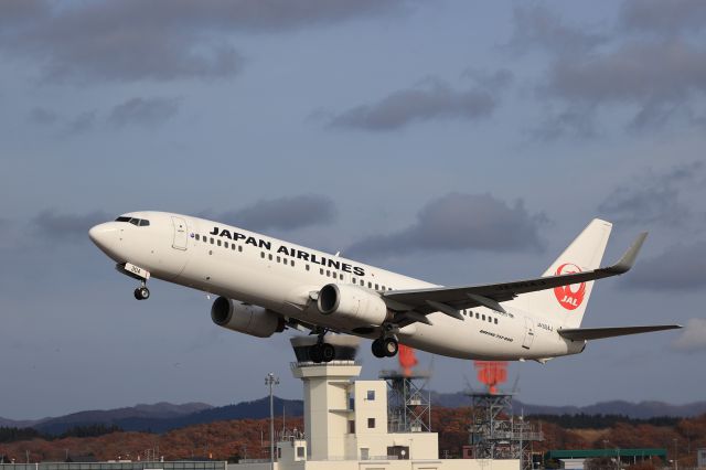 Boeing 737-800 (JA304J) - November 12, 2022:HKD-HND.