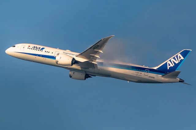 Boeing 787-9 Dreamliner (JA933A)