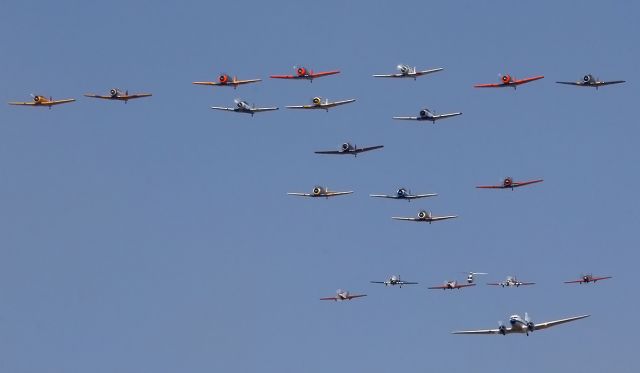 — — - Radial Formation T6 Harvards, Yak 52 and a DC3