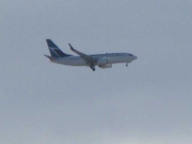 Boeing 737-700 — - I was standing on my step sisters back patio. Luckily her house is lined up with the approach path for Grande Prairie International :)br /br /I love WestJet Many more to come