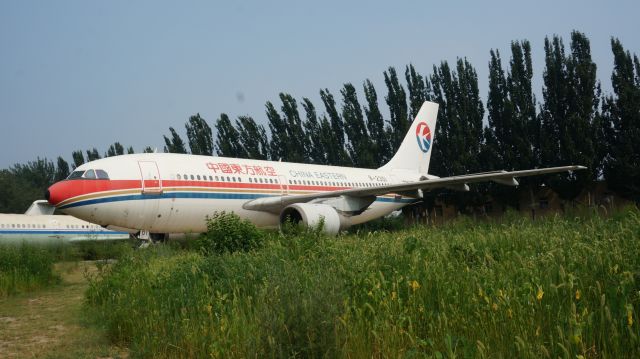 Airbus A310 (B-2301) - 传一架退役的东方310