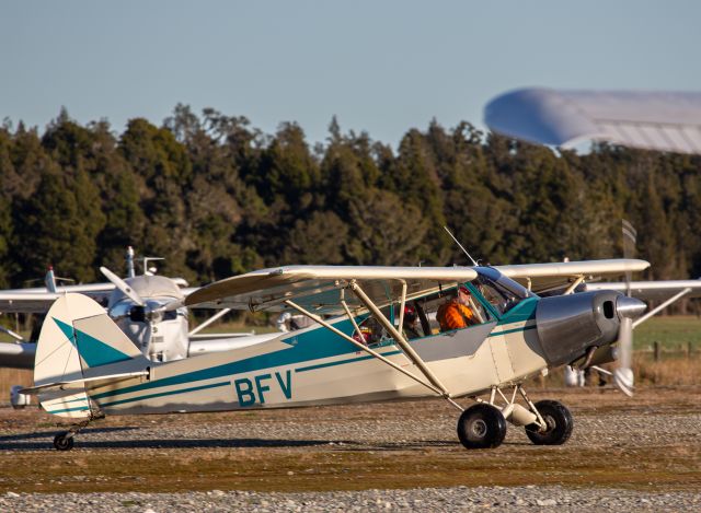 Piper L-21 Super Cub (ZK-BFV)