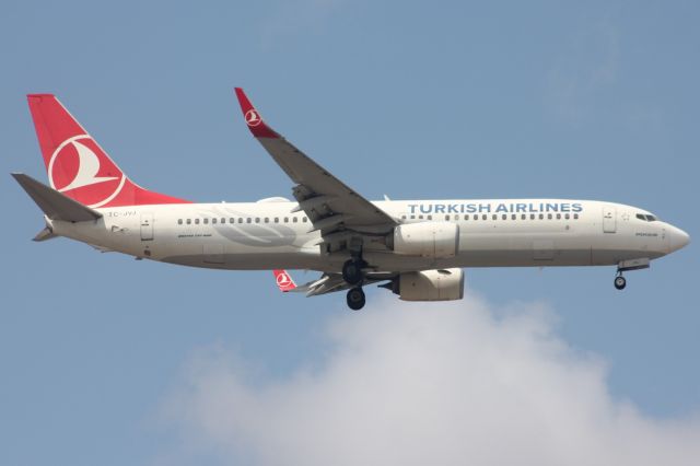 Boeing 737-800 (TC-JVJ)